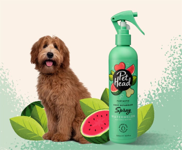 Pet Head Furtastic Knot Detangler Dog Spray | No-Rinse | Shea Butter & Apricot Oil | Watermelon Scent | Vegan & Cruelty-Free | 300ml