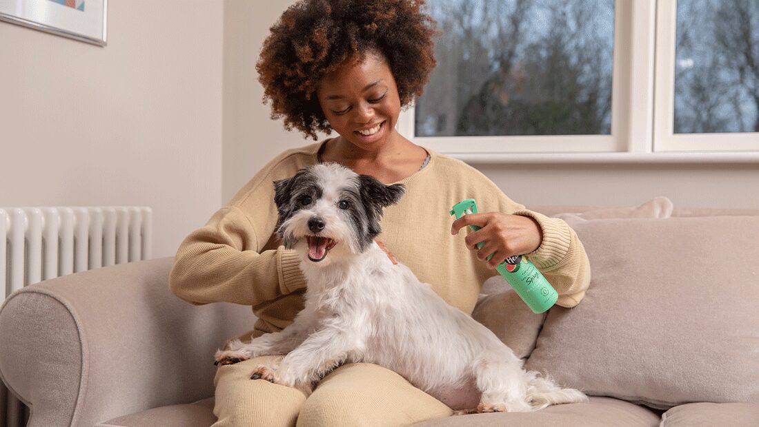 Pet Head Furtastic Knot Detangler Dog Spray | No-Rinse | Shea Butter & Apricot Oil | Watermelon Scent | Vegan & Cruelty-Free | 300ml