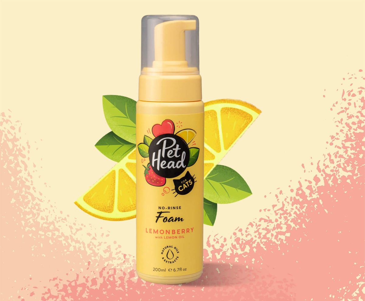Pet Head Lemonberry No-Rinse Foam for Cats | Strawberry & Lemon Oil | No-Rinse | Vegan & Cruelty-Free | 200ml