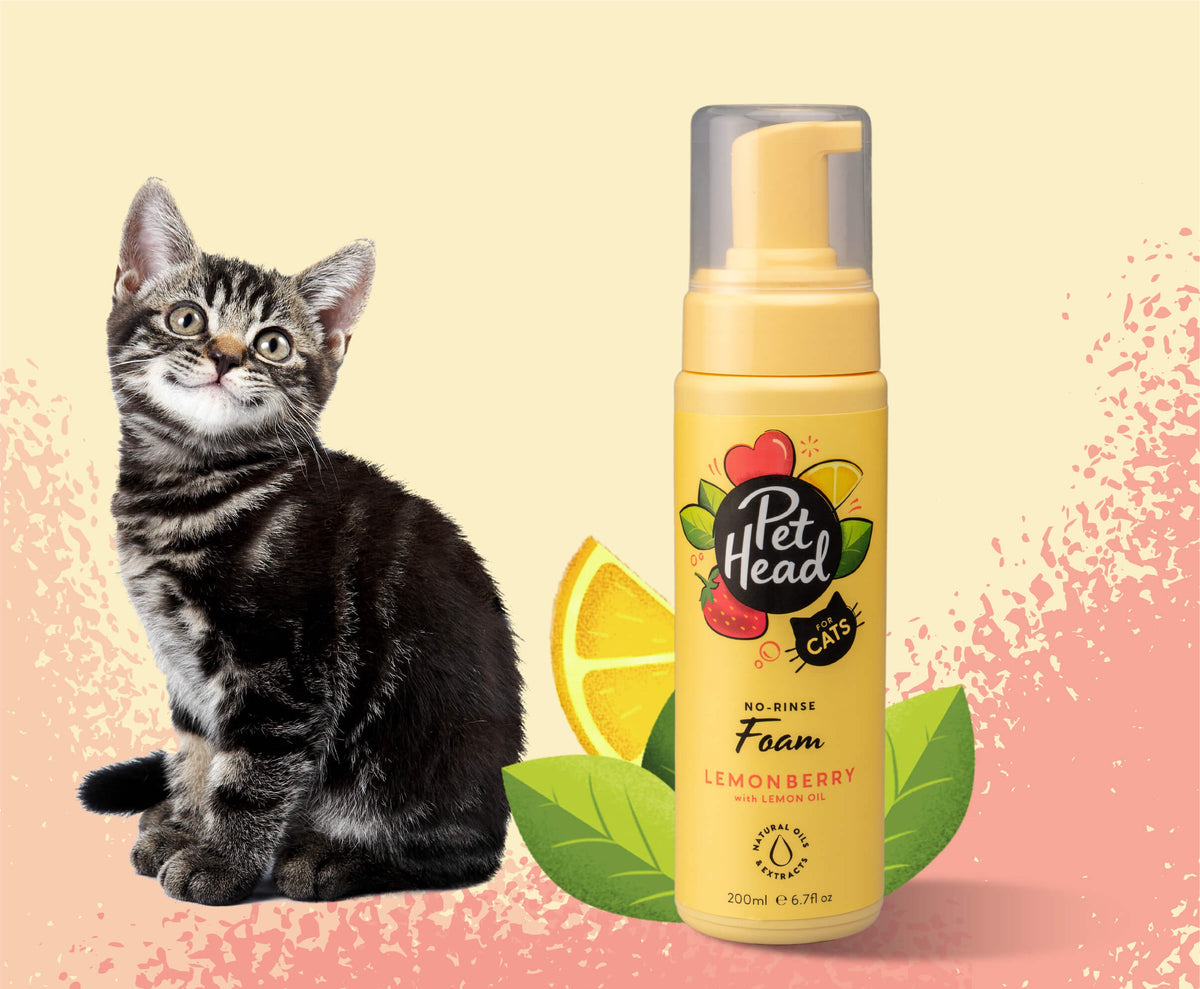 Pet Head Lemonberry No-Rinse Foam for Cats | Strawberry & Lemon Oil | No-Rinse | Vegan & Cruelty-Free | 200ml
