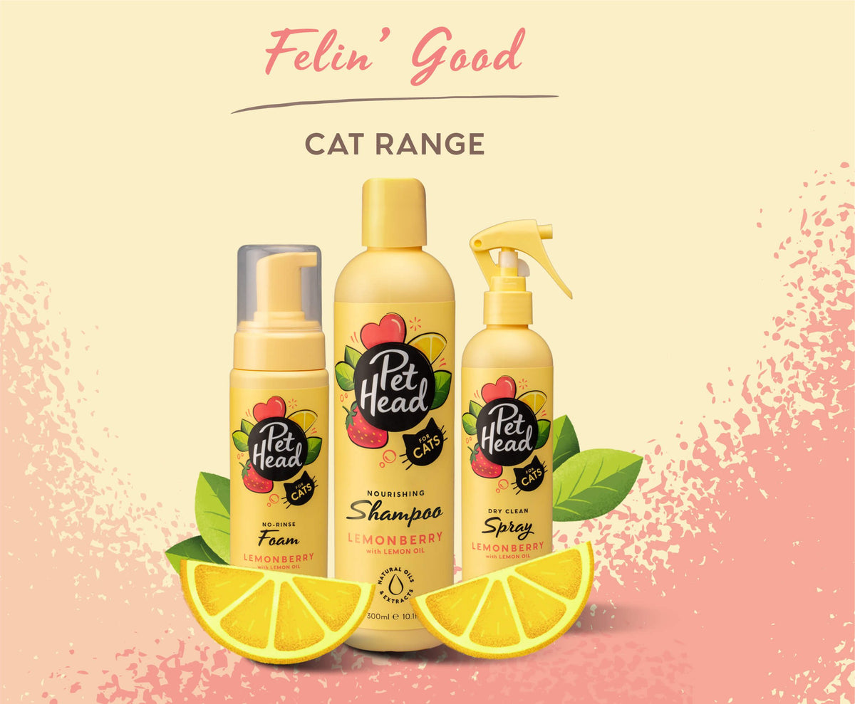 Pet Head Lemonberry No-Rinse Foam for Cats | Strawberry & Lemon Oil | No-Rinse | Vegan & Cruelty-Free | 200ml