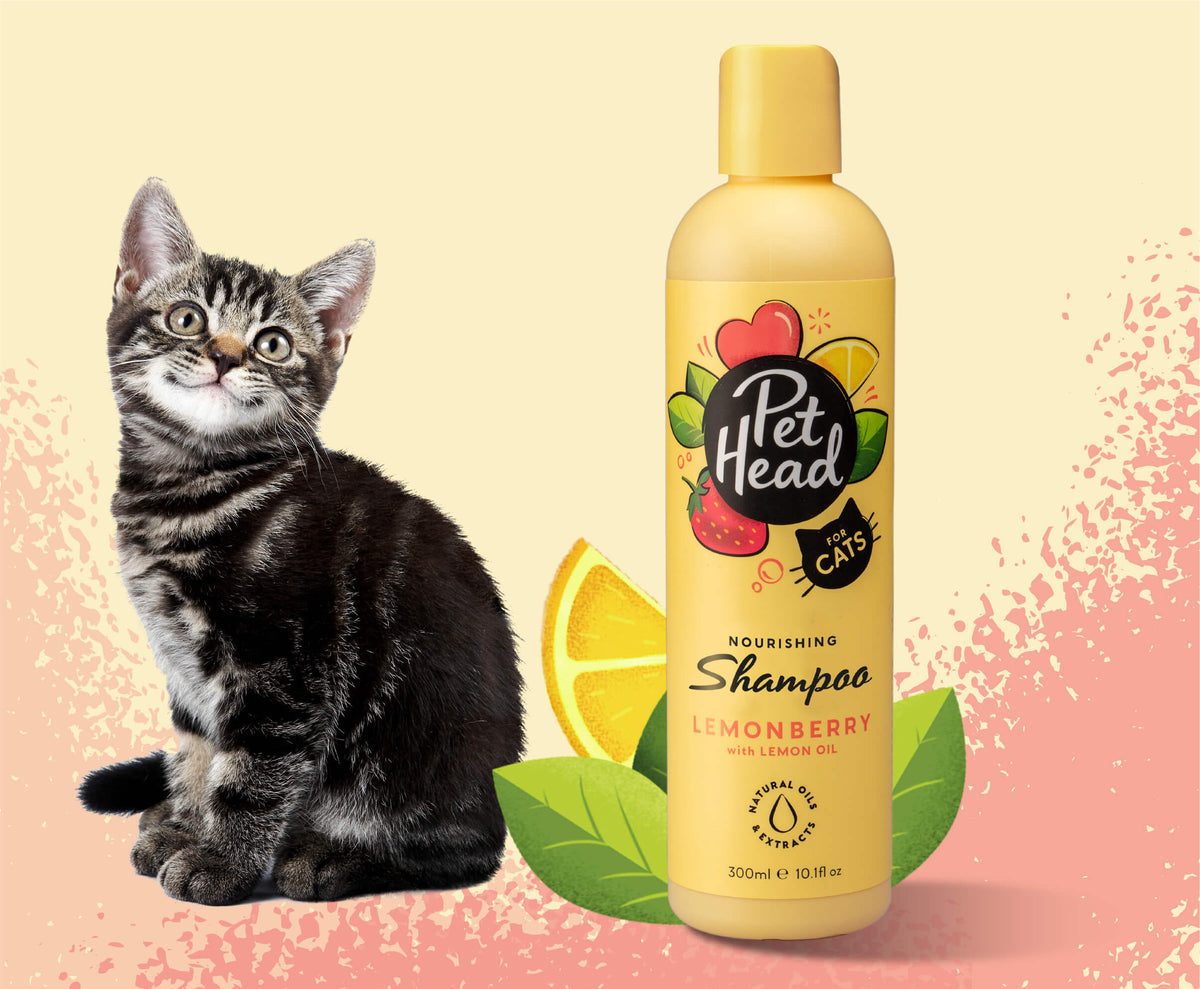 Pet Head Lemonberry Nourishing Cat Shampoo | Strawberry & Lemon Oil | Safflower Oil | Vegan & Cruelty-Free | 300ml