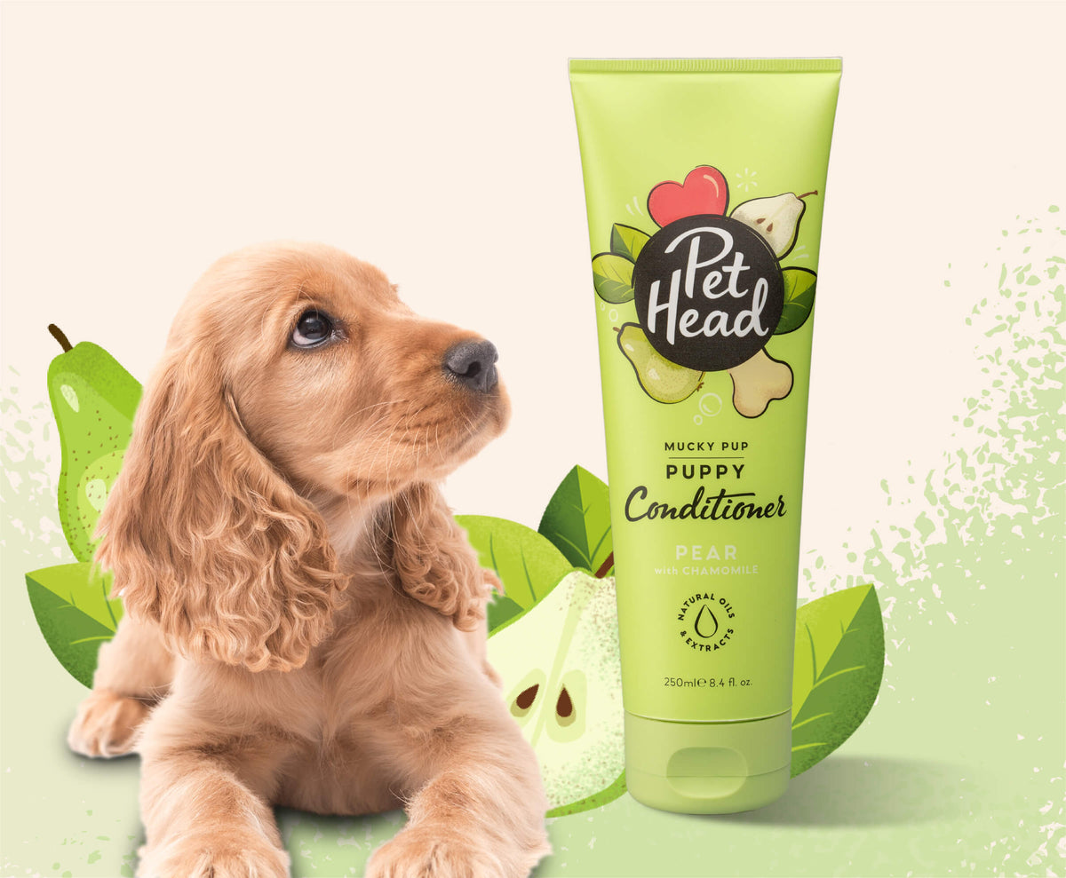 Pet Head Mucky Pup Puppy Conditioner for Sensitive Skin – Prickly Pear & Rosehip Oil | Pear Scent | Vegan & Cruelty-Free | 250ml