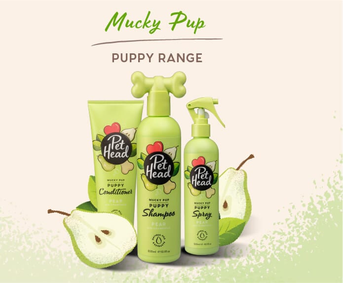 Pet Head Mucky Pup Puppy Shampoo for Sensitive Skin – Prickly Pear & Rosehip Oil | Pear Scent | Vegan & Cruelty-Free | 300ml