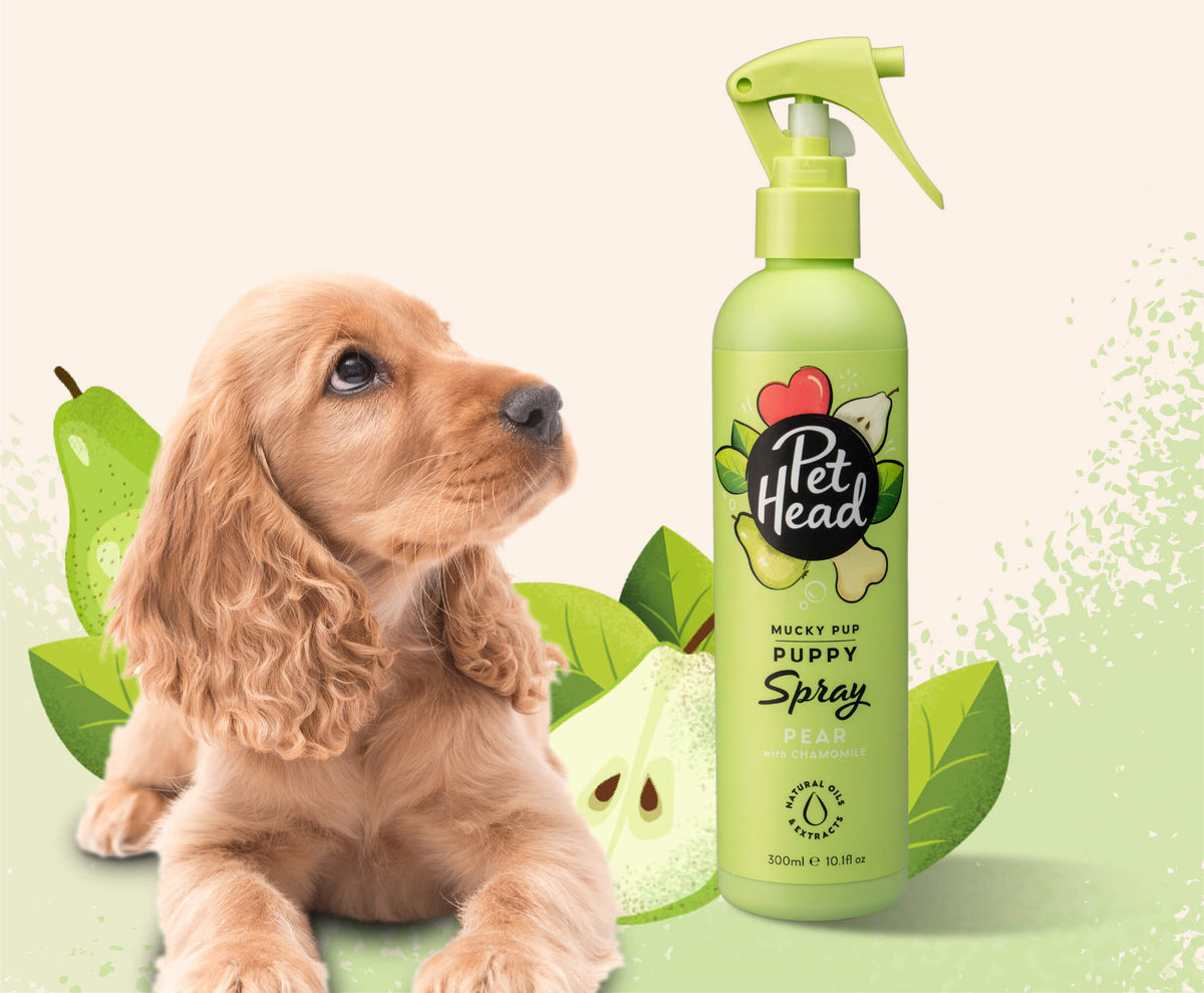 Pet Head Mucky Pup Puppy Spray for Sensitive Skin – Prickly Pear & Rosehip Oil | No-Rinse | Pear Scent | Vegan & Cruelty-Free | 300ml