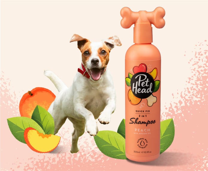 Pet Head Quick Fix 2in1 Dog Shampoo | Argan, Coconut & Jojoba Oil | Peach Scent | Vegan & Cruelty-Free | 300ml