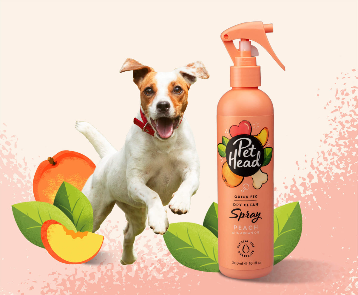 Pet Head Quick Fix 2in1 Dry Clean Dog Spray | No-Rinse | Argan, Coconut & Jojoba Oil | Peach Scent | Vegan & Cruelty-Free | 300ml