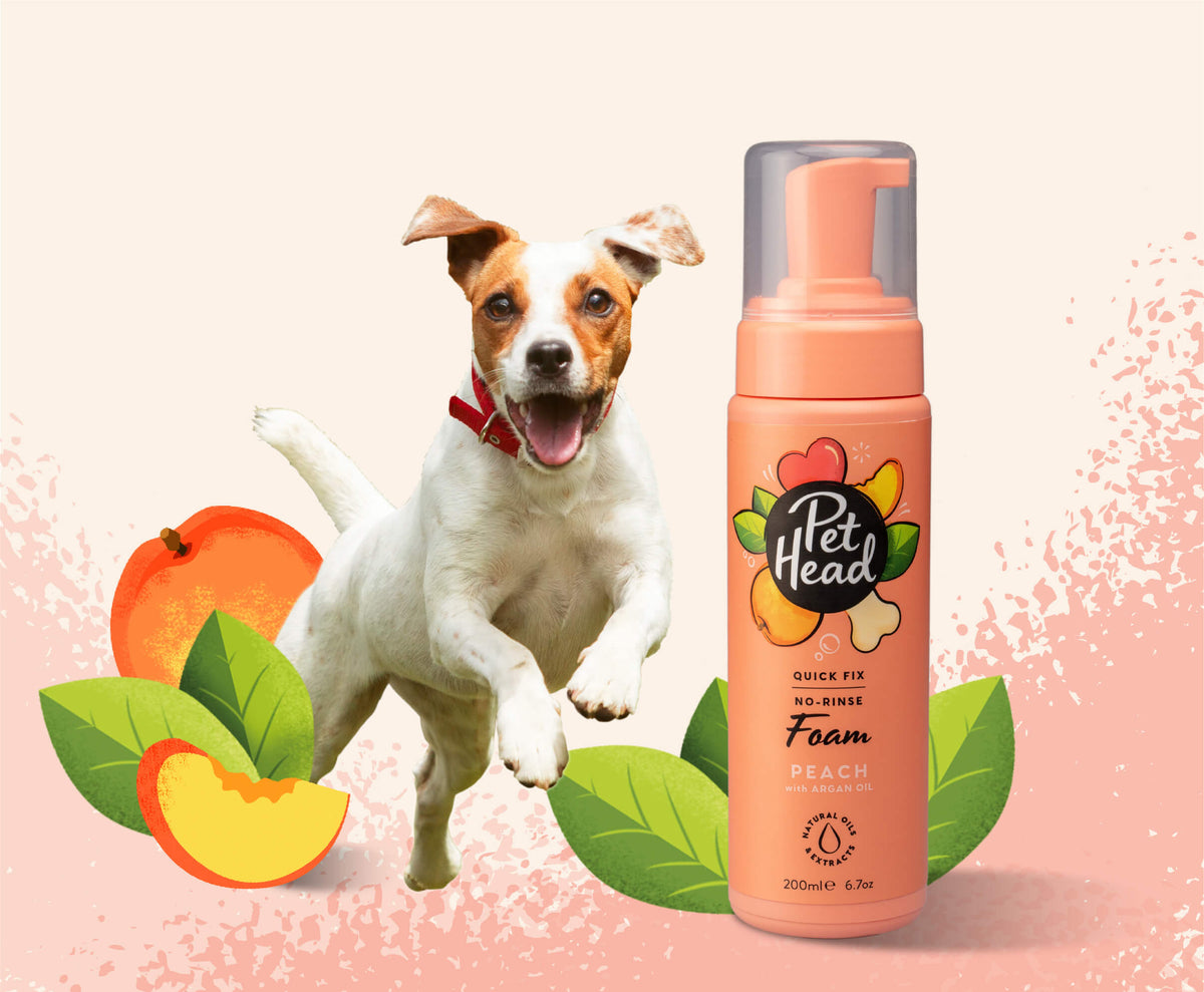 Pet Head Quick Fix 2in1 Foam for Dog  | Argan, Coconut & Jojoba Oil | Peach Scent | Vegan & Cruelty-Free | 200ml