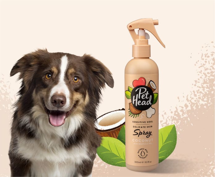 Pet Head Sensitive Soul Dog Spray for Sensitive Skin – Oatmeal & Marula Oil | No-Rinse | Coconut Scent | Vegan & Cruelty-Free | 300ml
