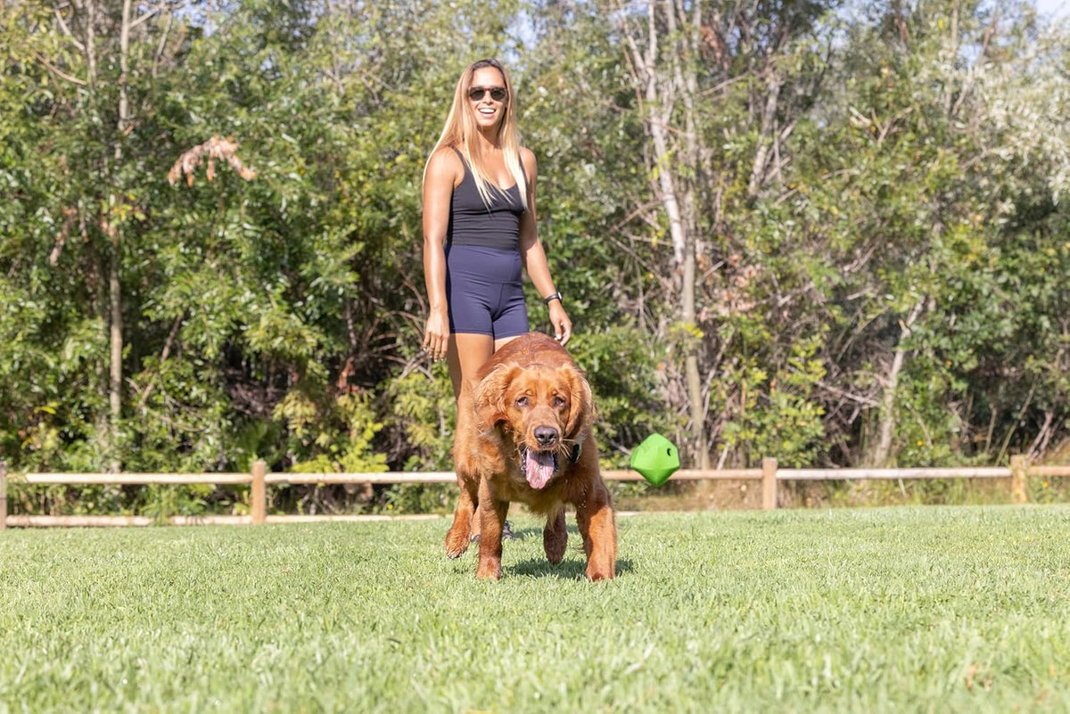 Petmate Chuckit! Erratic Ball Dog Toy – Medium, 1-Pack