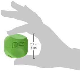 Petmate Chuckit! Erratic Ball Dog Toy – Medium, 1-Pack