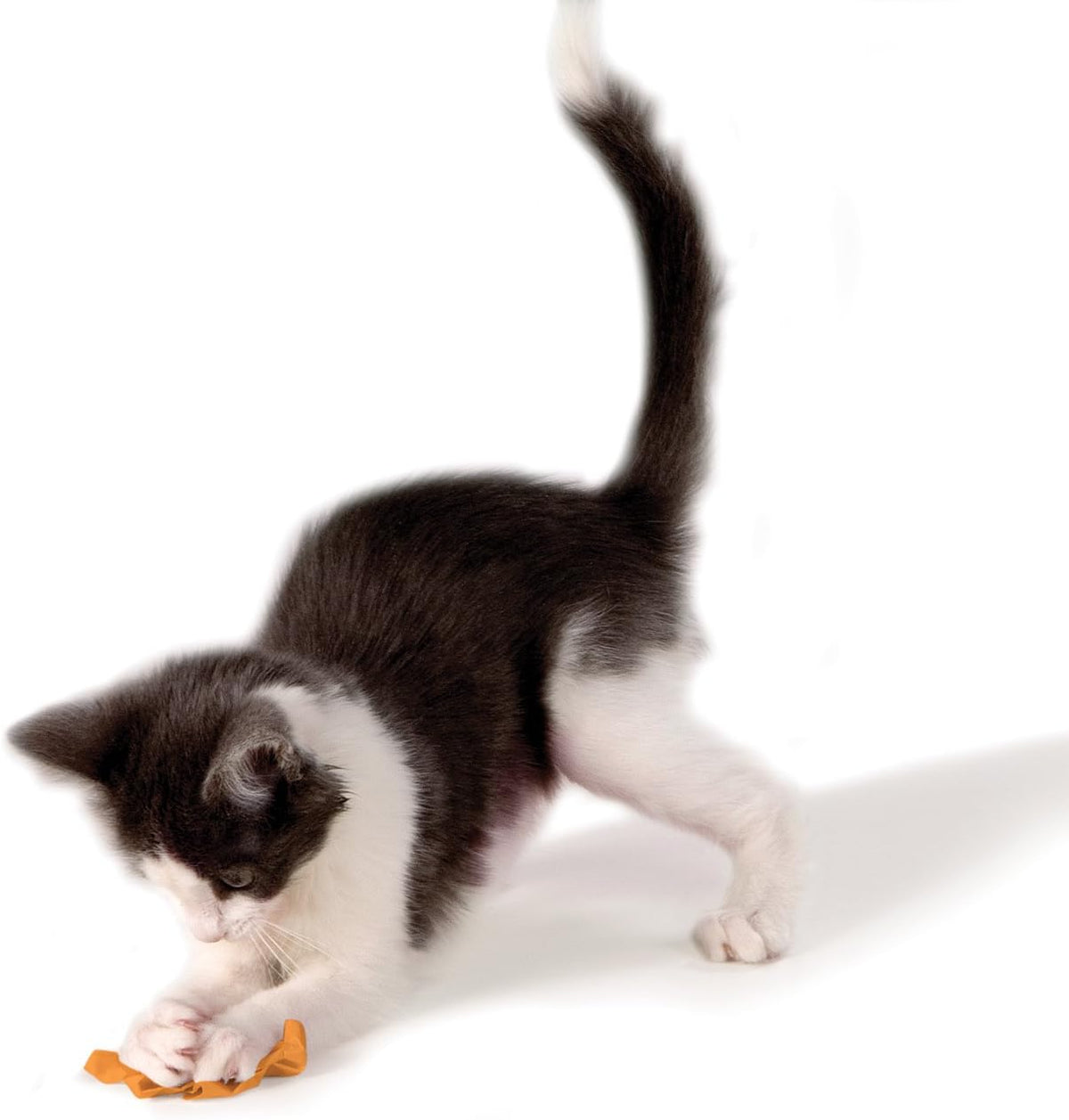 Petstages Crinkle & Toss Paper Ball Cat Toy – Orange/Green