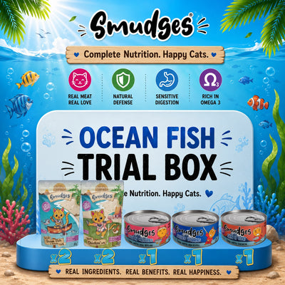Smudges Ocean Fish Trial Box