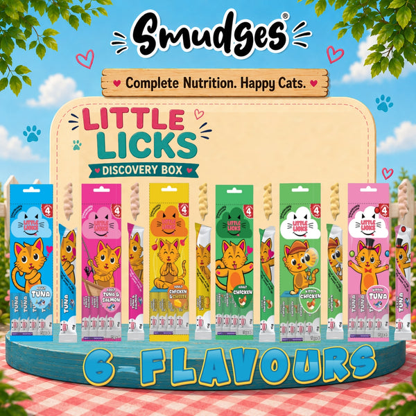 Smudges Little Licks Discovery Box