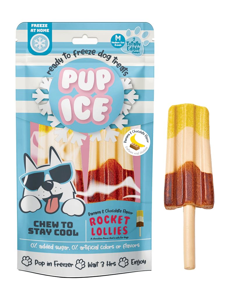 Pup Ice Rocket Lollies Blueberry & Strawberry 2Pk 90G