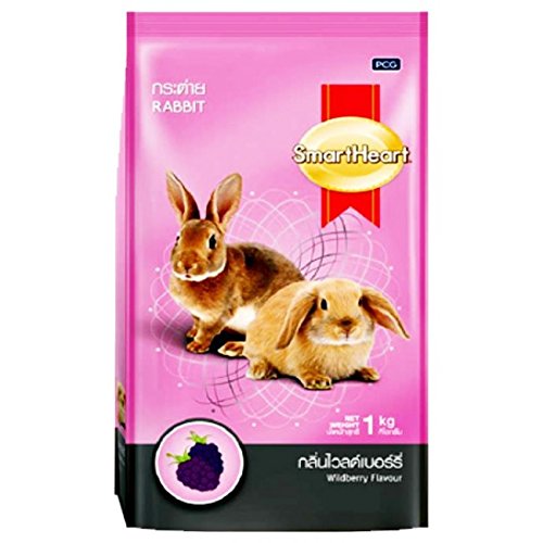 rabbit food