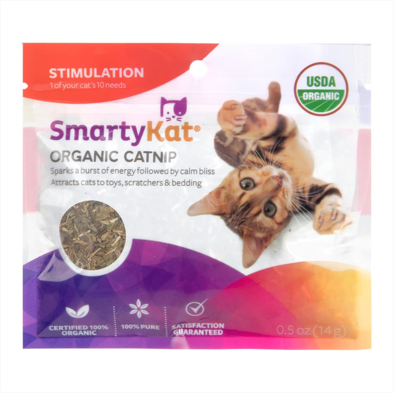 Cat Toys