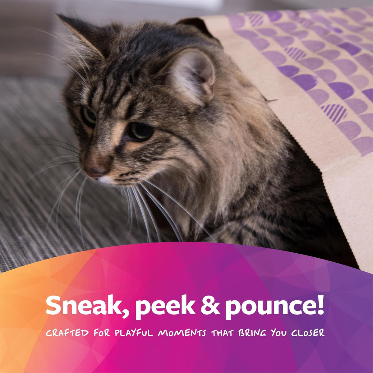 SmartyKat Cat Caves Catnip Infused Paper Bags – Set of 2
