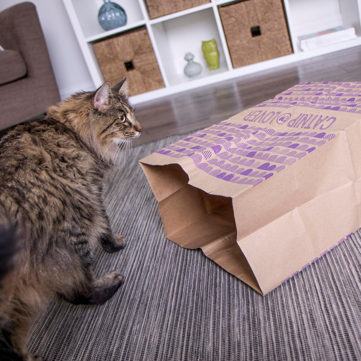 SmartyKat Cat Caves Catnip Infused Paper Bags – Set of 2