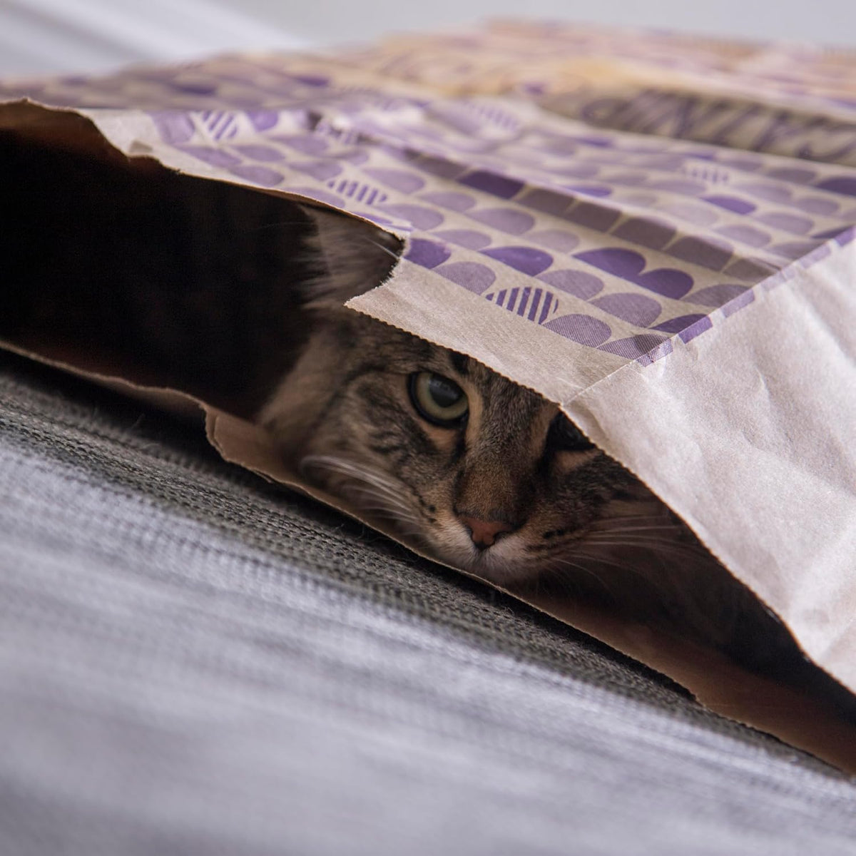 SmartyKat Cat Caves Catnip Infused Paper Bags – Set of 2