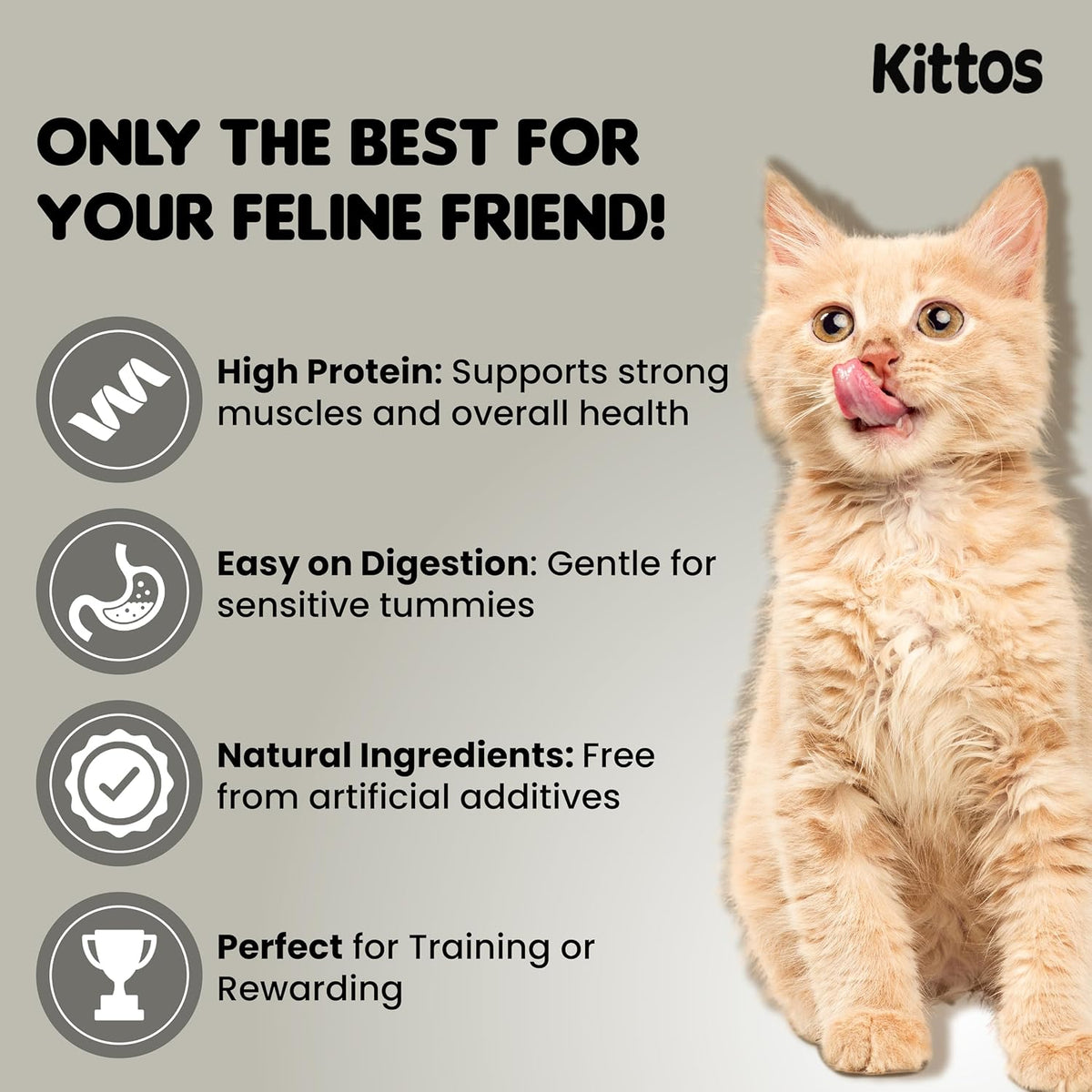 Tuna Jerky Strips Cat Treat, 35 gm