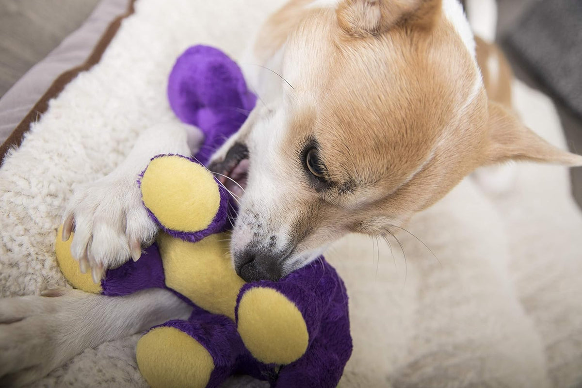 goDog Dinos Bruto with Chew Guard Technology Durable Plush Squeaker Dog Toy – Purple, Small