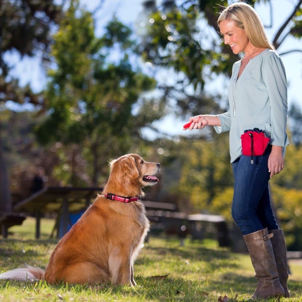 Company of Animals Clix Whizzclick – 2-in-1 Clicker & Whistle Dog Training Tool