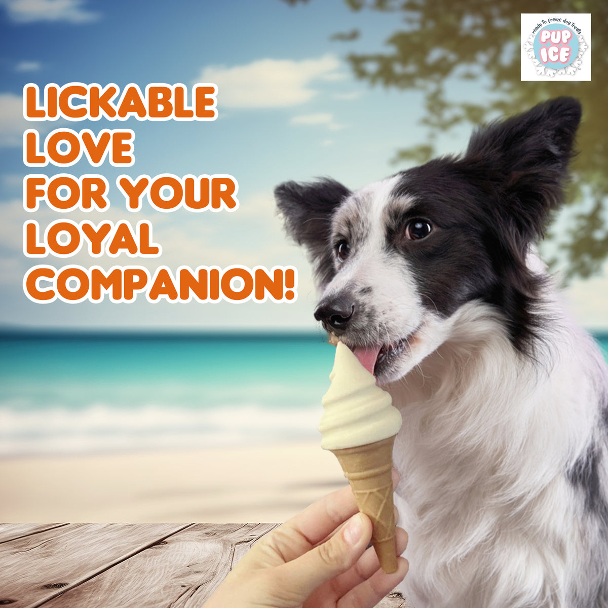 Pup Ice Waffle Cones Vanilla & Peanut Butter, 2 Pcs 110g - PI08 PDP 1.jpg