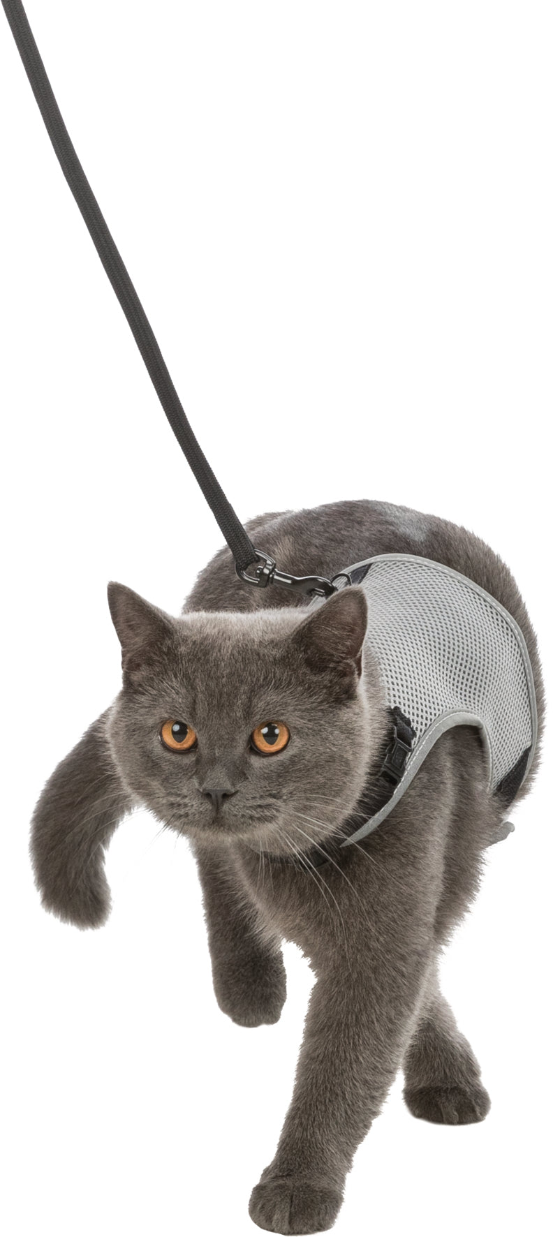 Trixie Soft Harness with Leash, 24–42 cm, 1.20 m
