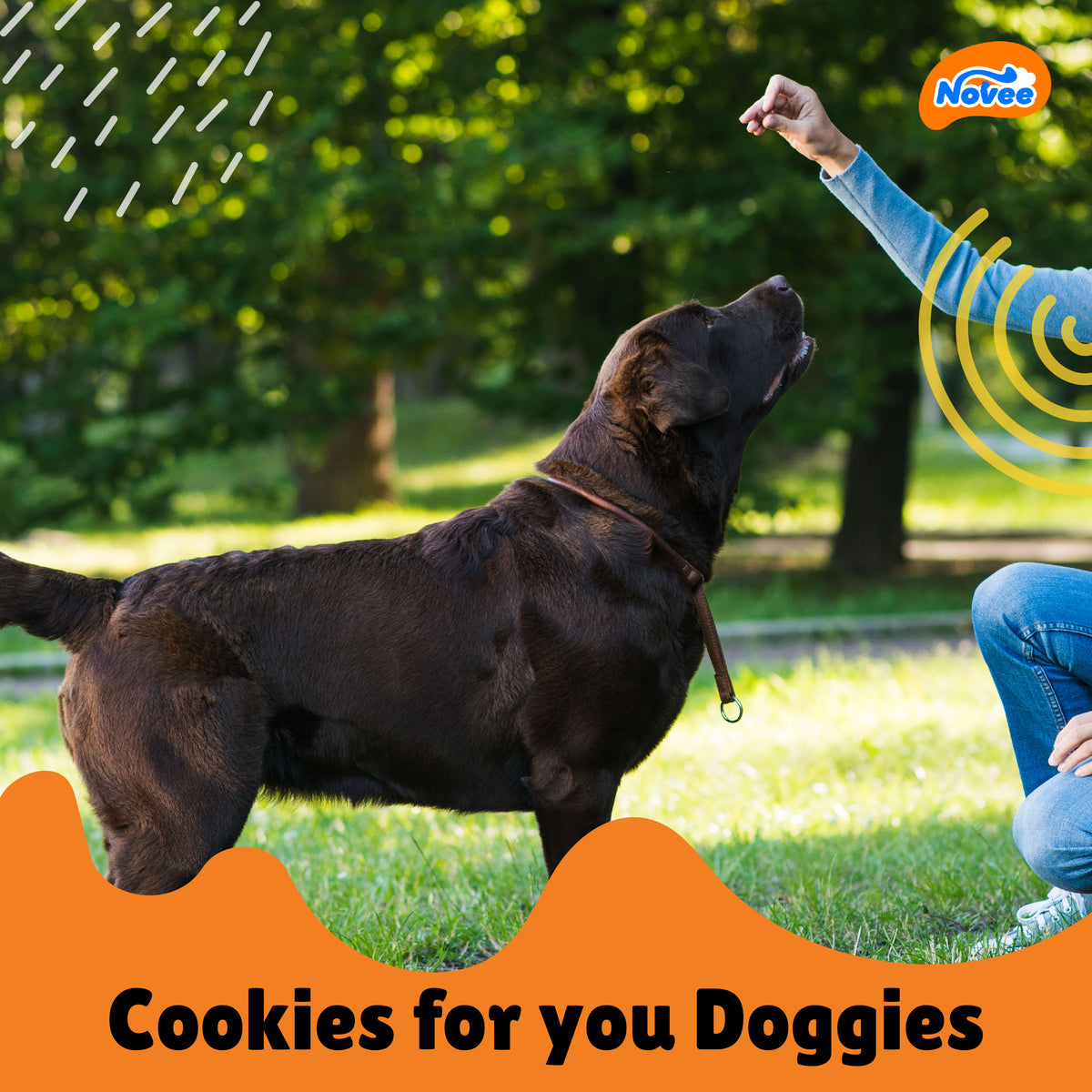 NOVEE, DOG COOKIE, 450 g - 9197-05.jpg