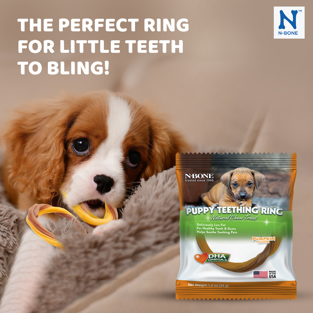 N-Bone Puppy Teething Ring, Pumpkin Flavor - 112171 PDP 1.jpg