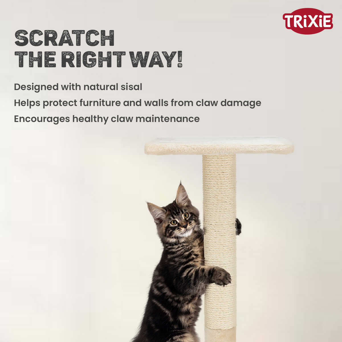 Trixie Baena scratching post, 69 cm, beige