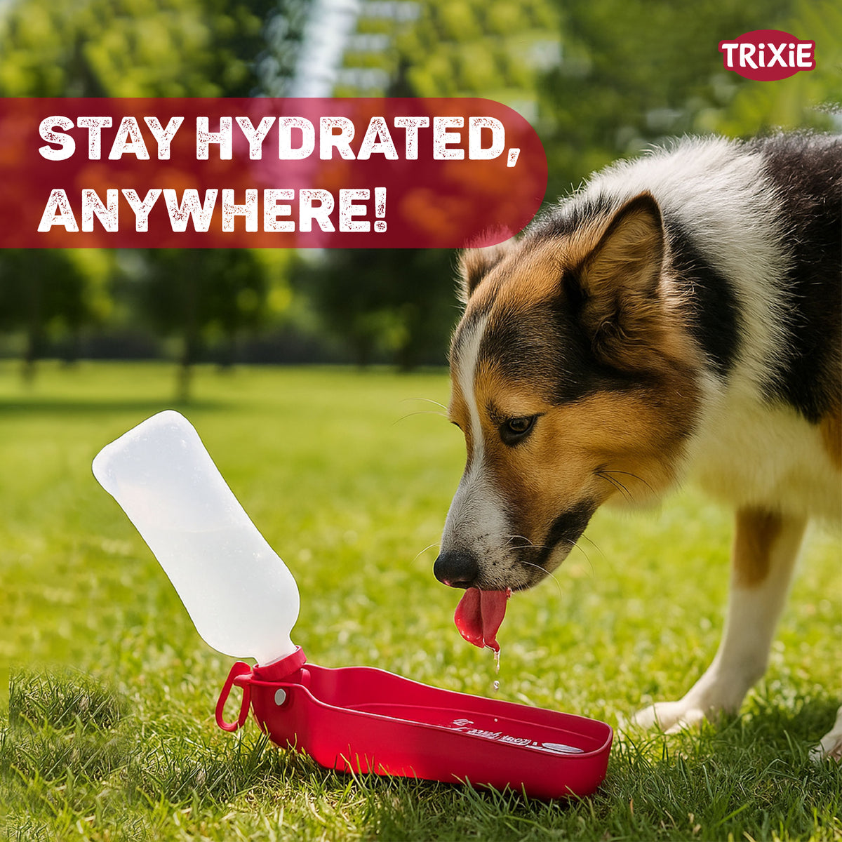 Trixie Bottle with bowl, plastic, 0.7 l, various