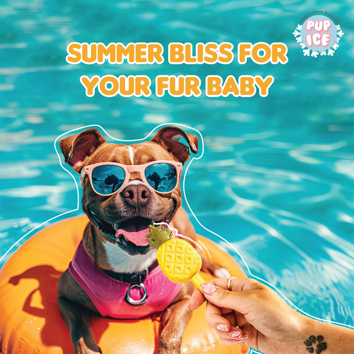 Pup Ice Fruity Lollies Pineapple 3Pk 90G - PI05-01.jpg