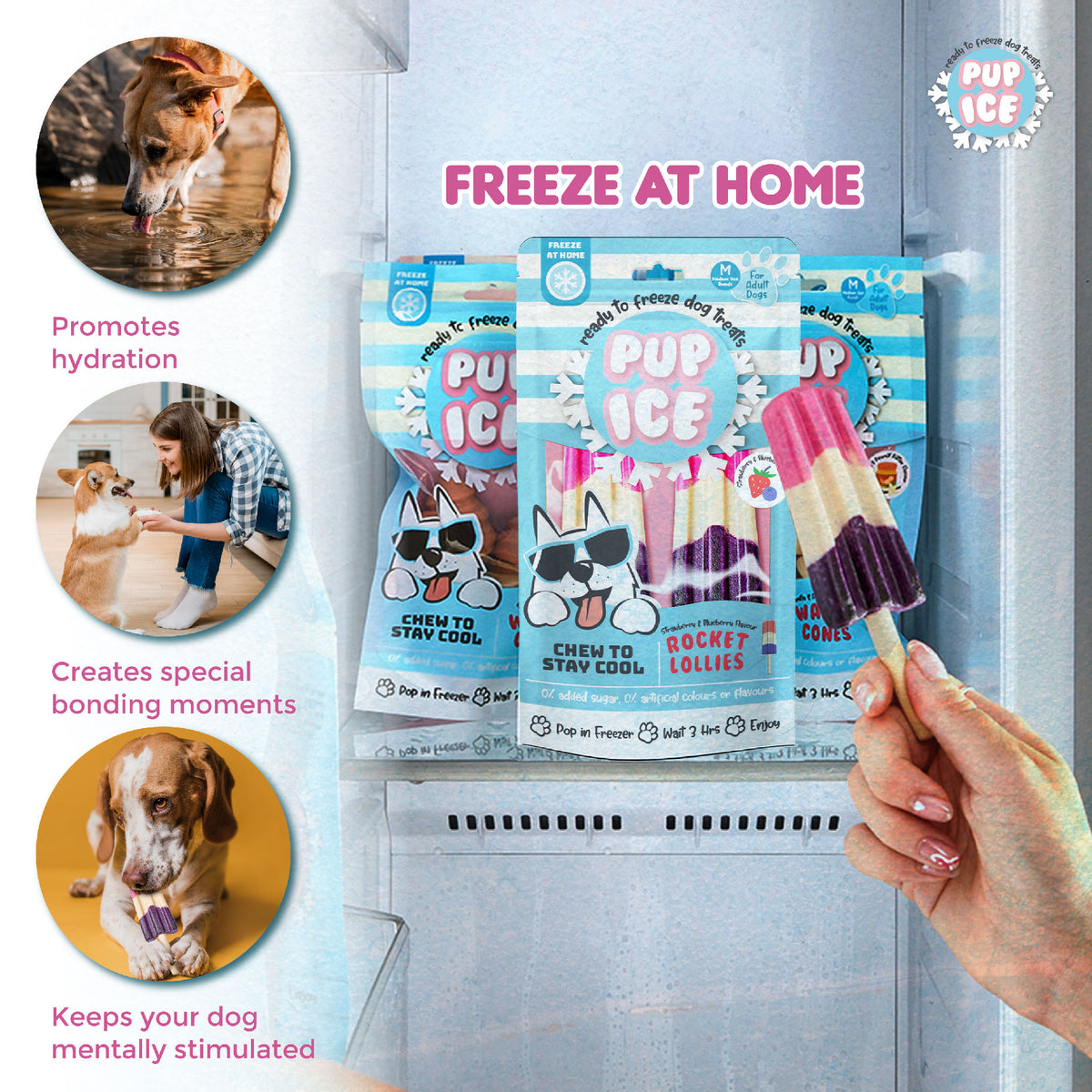 Pup Ice Rocket Lollies Blueberry & Strawberry 2Pk 90G - PI04-04.jpg