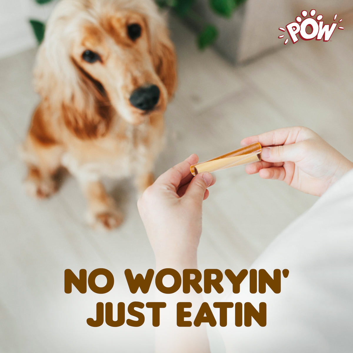 Pow Chicken & Peanut Butter Twisted Sticks 4Pk 200G - PO03 PDP 5.jpg