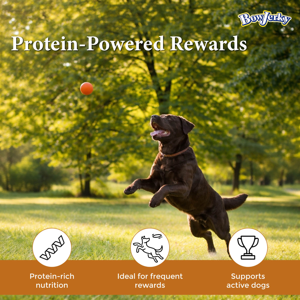 BowJerky Liver Sticks, 200 gm - 1142-03.jpg