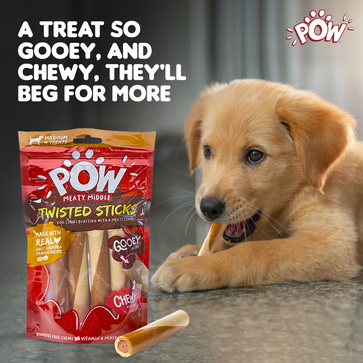 Pow Chicken & Peanut Butter Twisted Sticks 4Pk 200G - PO03 PDP 1.jpg