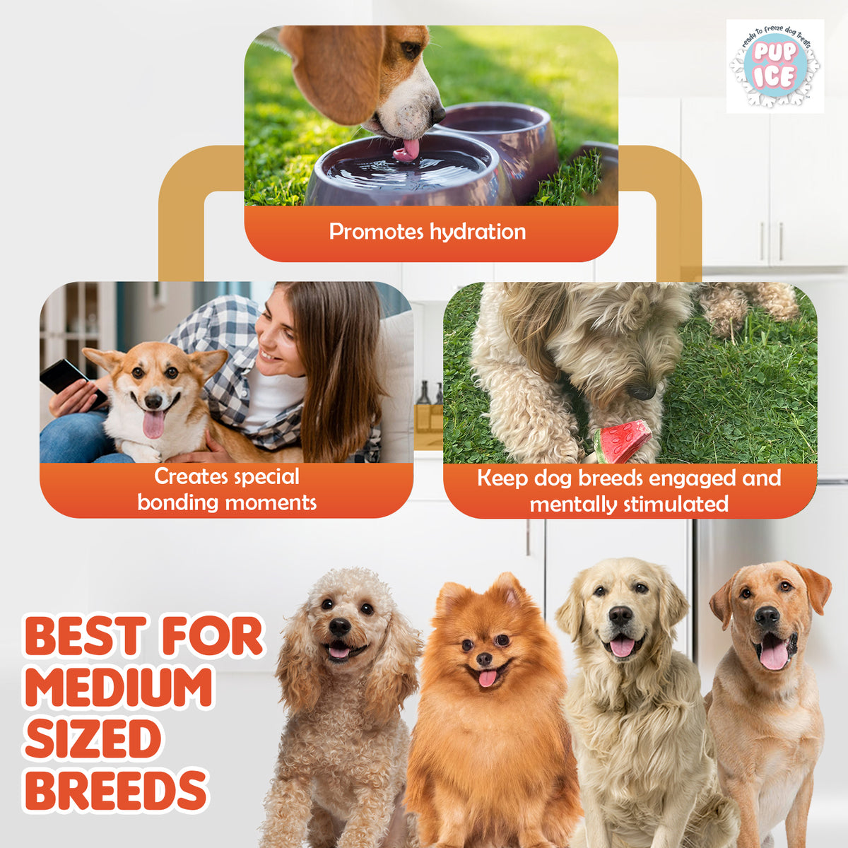 Pup Ice Waffle Cones Vanilla & Peanut Butter, 2 Pcs 110g - PI08 PDP 4.jpg