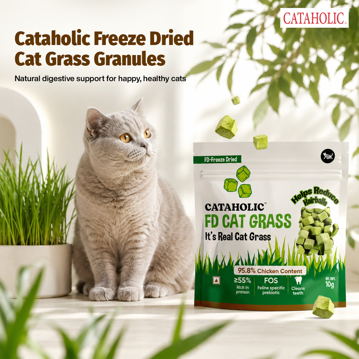Cataholic FD Cat Grass Granules 10g NEW - CH4001 PDP 1.jpg