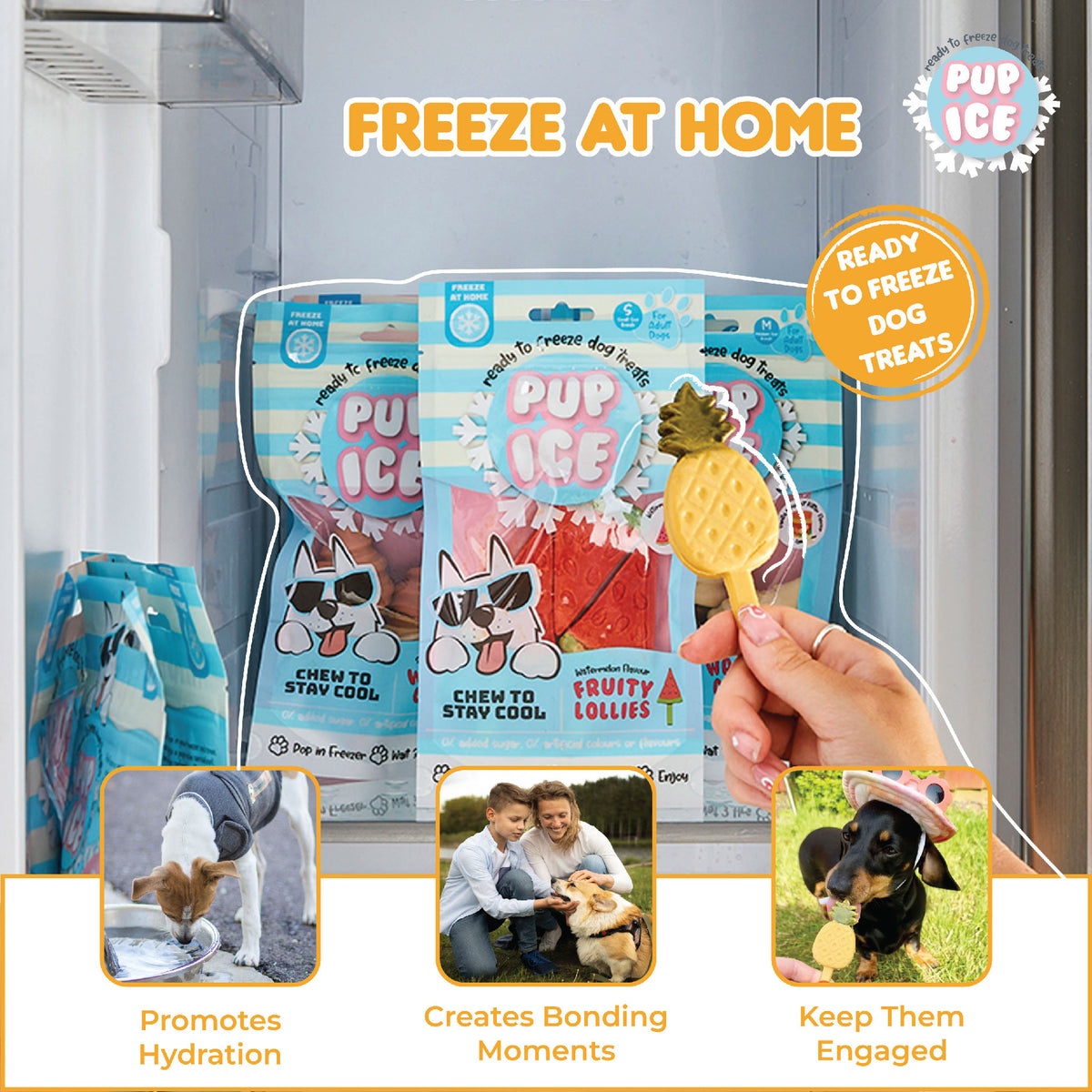 Pup Ice Fruity Lollies Pineapple 3Pk 90G - PI05-05.jpg