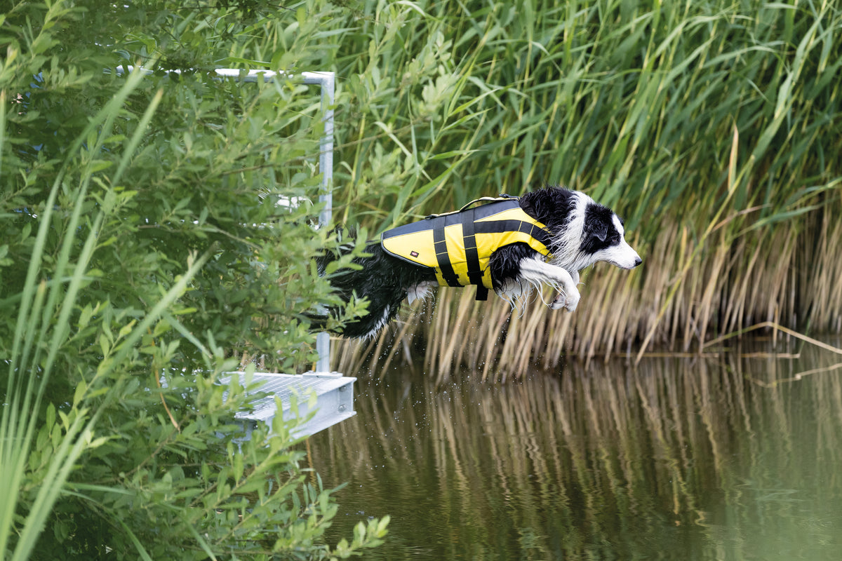 Trixie Life Vest for Dogs, Back Length - 45 cm, 45-72 cm, M, Yellow/Black