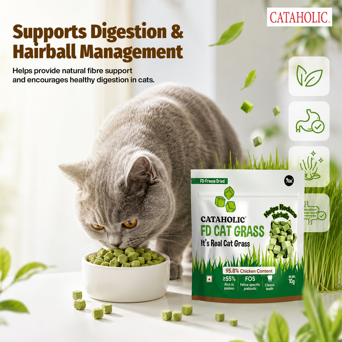 Cataholic FD Cat Grass Granules 10g NEW - CH4001 PDP 2.jpg