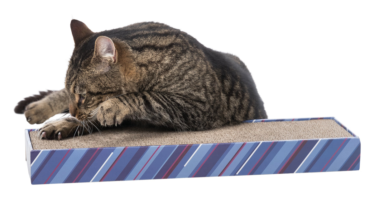 Trixie Scratching Cardboard Lying, 48 x 13 cm