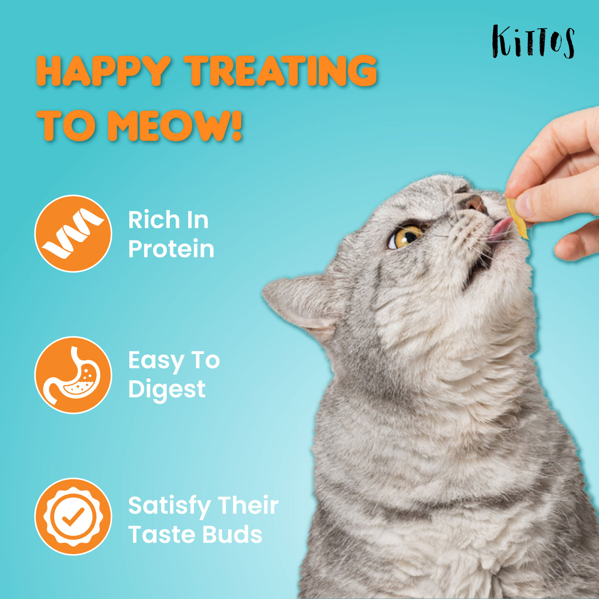 Chicken Jerky Strips Cat Treat, 35 gm - KT2101-03.jpg