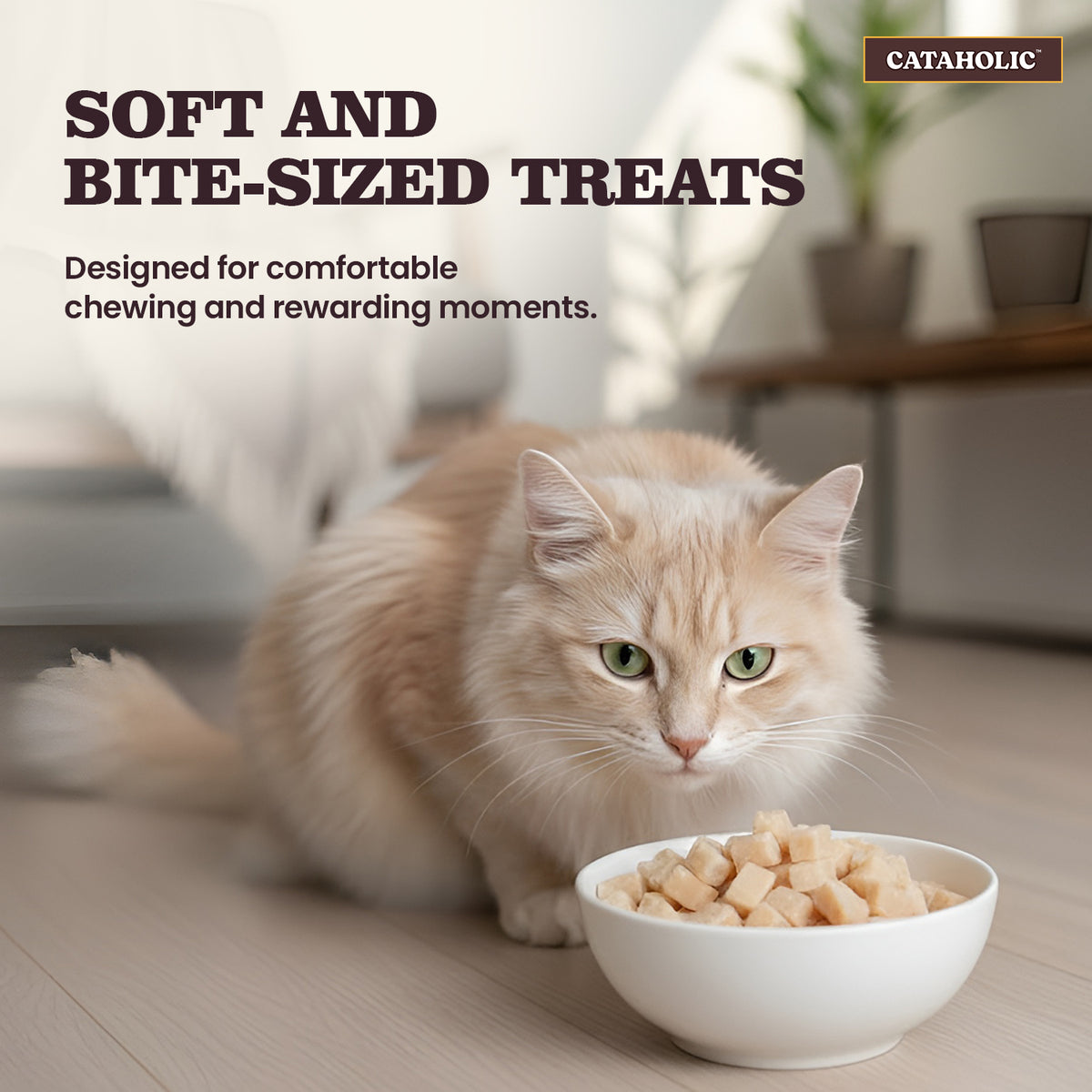 Cataholic Chicken with Shrimp Chips, 50g - CH5006 PDP 5.jpg