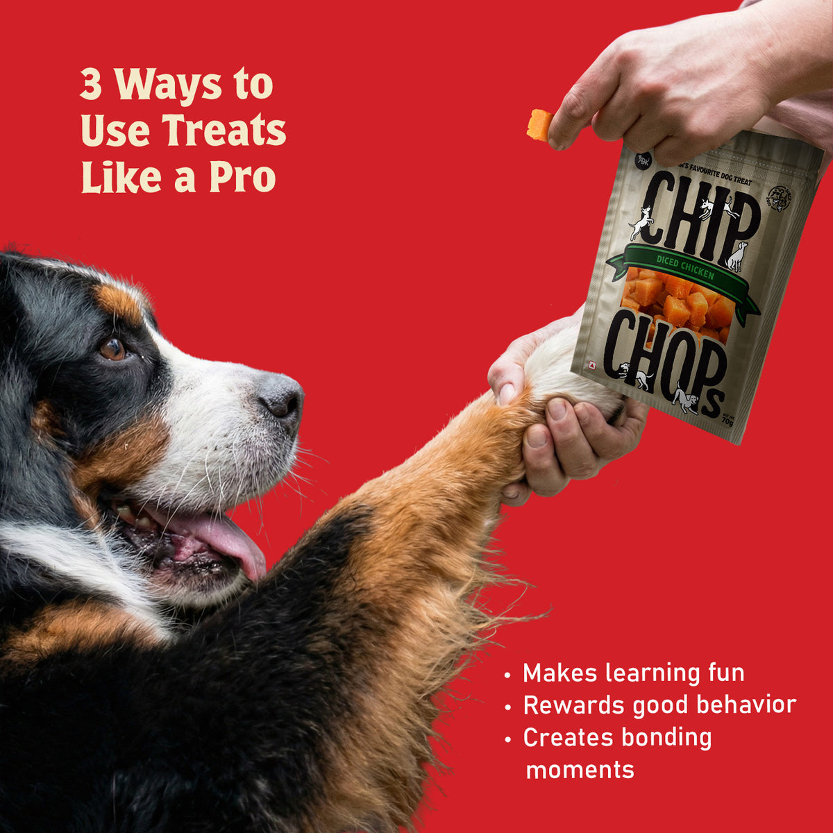 Chip Chops Diced Chicken, 70 gm - CC1204 PDP 4.jpg