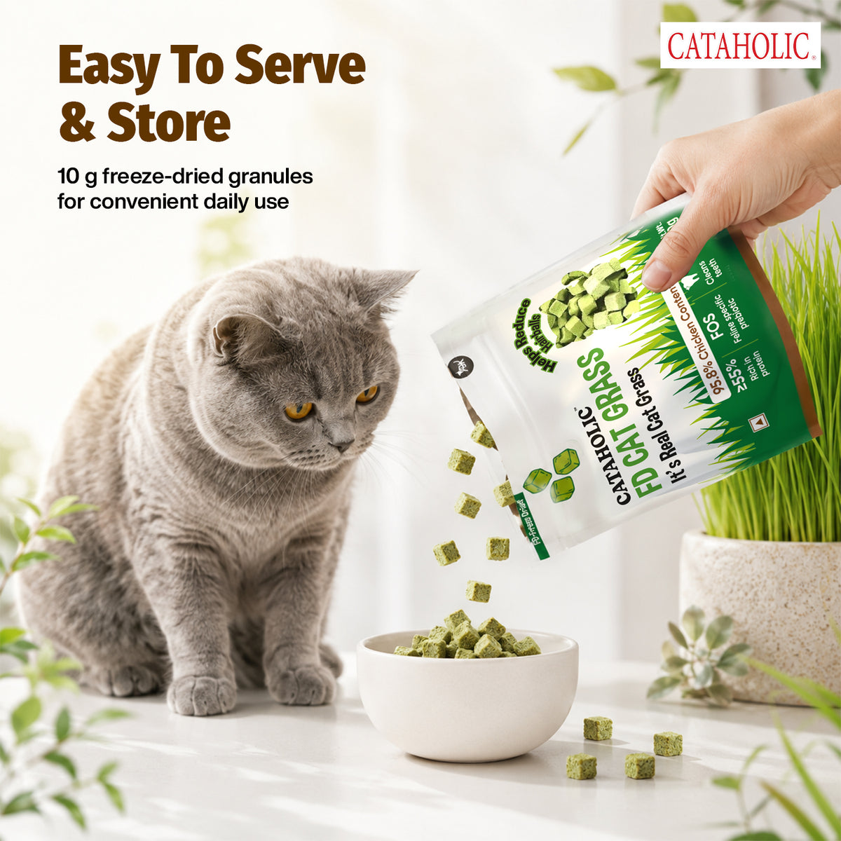 Cataholic FD Cat Grass Granules 10g NEW - CH4001 PDP 4.jpg