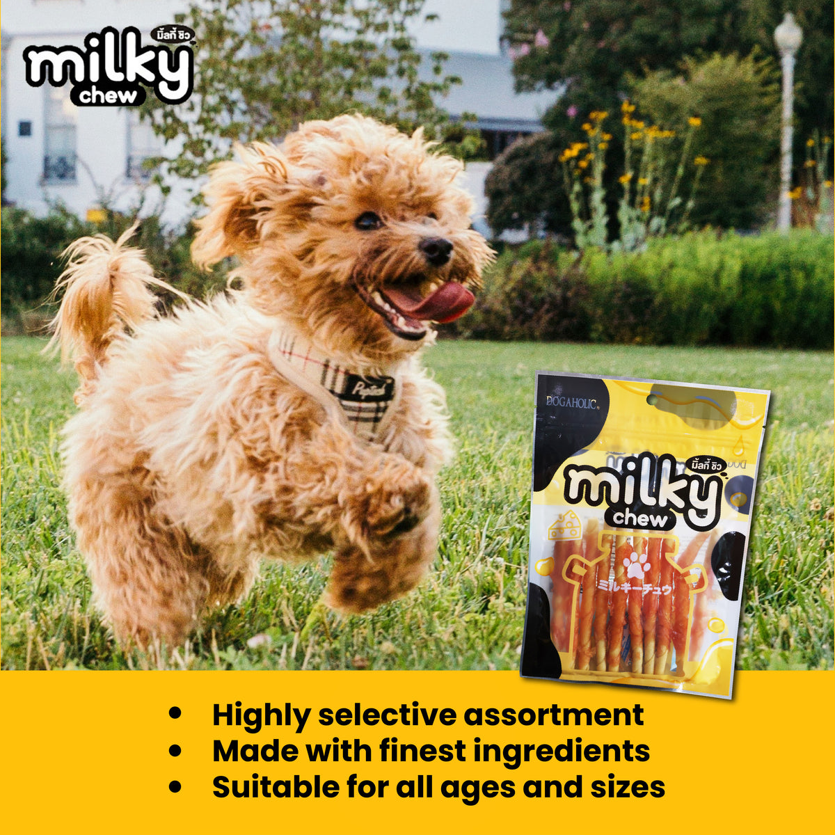 Milky Chew Cheese & Chicken Sticks, 10 pieces - 1245-04.jpg