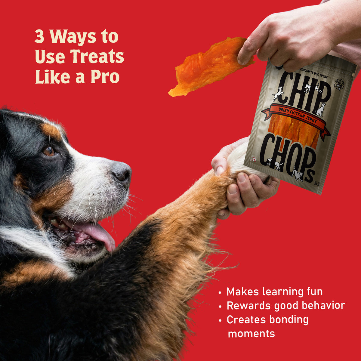 Chip Chops Sun Dried Chicken Jerky, 250 gm - CC2509 PDP 4.jpg